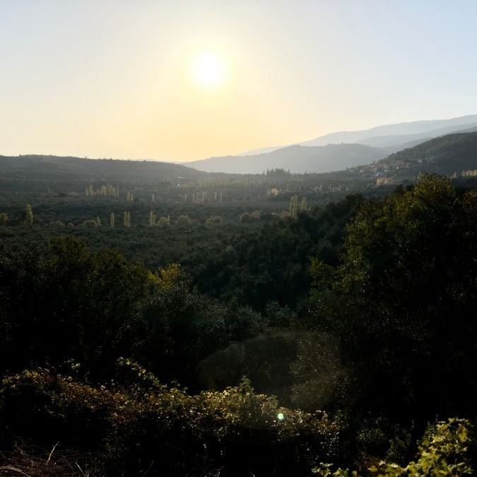 Kaz Dağları